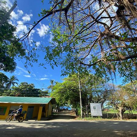 Cabinas Surf Arribadas Ostional Wildlife Refuge 外观 照片