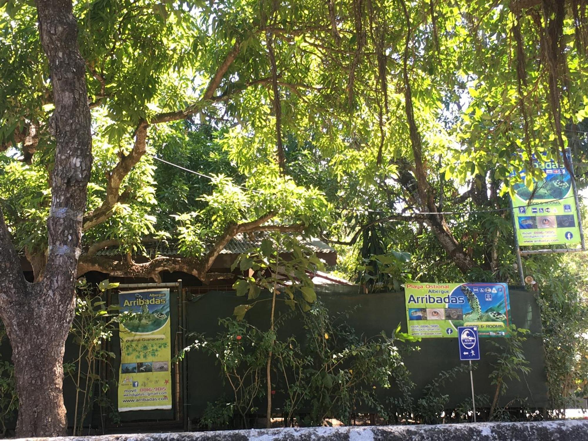 Cabinas Surf Arribadas Ostional Wildlife Refuge 外观 照片