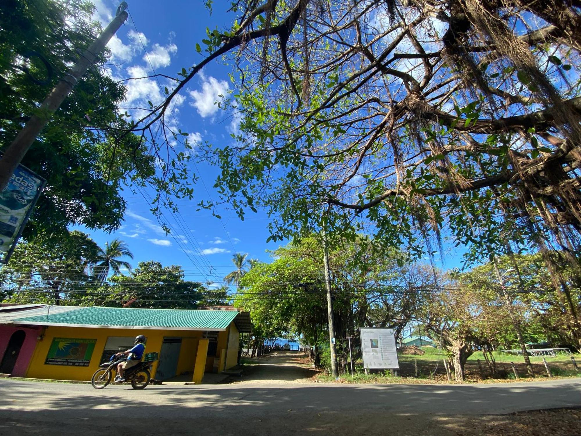 Cabinas Surf Arribadas Ostional Wildlife Refuge 外观 照片