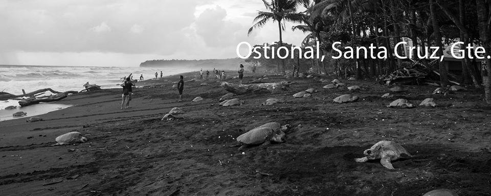 Cabinas Surf Arribadas Ostional Wildlife Refuge 外观 照片